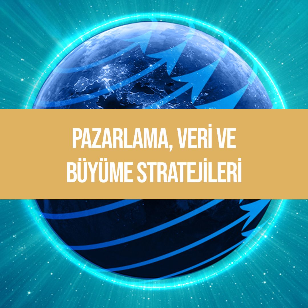 vizyon-strateji-ve-ekosisteme-giris